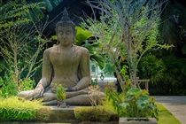 Budha statue